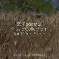 35 Peaceful Music Collection for Deep Sleep