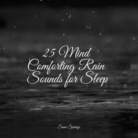 25 Mind Comforting Rain Sounds for Sleep