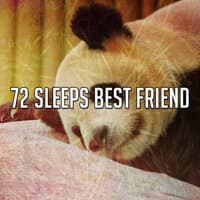 72 Sleeps Best Friend