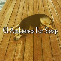 61 Ambience for Sleep