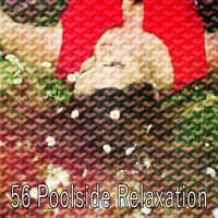 56 Poolside Relaxation