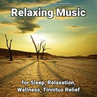 Relaxing Music for Sleep, Relaxation, Wellness, Tinnitus Relief