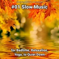 #01 Slow Music for Bedtime, Relaxation, Yoga, to Quiet Down