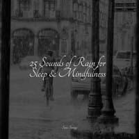 25 Sounds of Rain for Sleep & Mindfulness