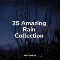 25 Amazing Rain Collection