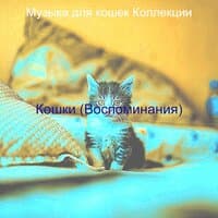 Кошки (Воспоминания)