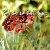 75 Inspire Bed Sleep