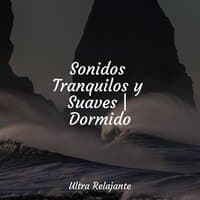 Sonidos Tranquilos y Suaves | Dormido