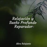 Relajación y Sueño Profundo Reparador