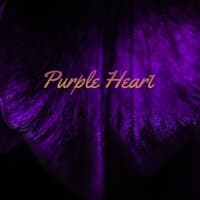 Purple Heart (prod. zeeky beats)