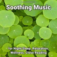 Soothing Music for Night Sleep, Relaxation, Wellness, Close Reading