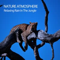 Nature Atmosphere: Relaxing Rain In The Jungle