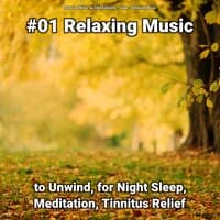 #01 Relaxing Music to Unwind, for Night Sleep, Meditation, Tinnitus Relief