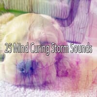 25 Mind Curing Storm Sounds