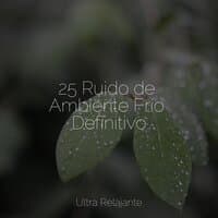 25 Ruido de Ambiente Frío Definitivo