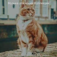 Кошки — фоновая музыка