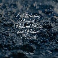 25 Relaxing Playlist - Natural Rain and Nature Sounds