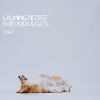 Calming Noises For Dogs & Cats Vol. 1