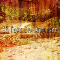 67 Foot Spa Ambience