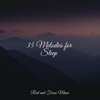 35 Melodies for Sleep