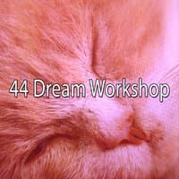 44 Dream Workshop