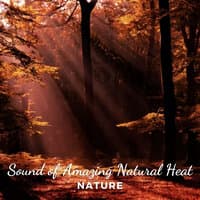 Nature: Sounds of Amazing Natural Heat