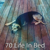 70 Life In Bed