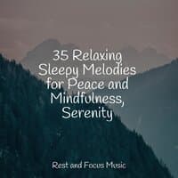 35 Relaxing Sleepy Melodies for Peace and Mindfulness, Serenity