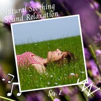 Natural Soothing Sound Relaxation Ses. 2