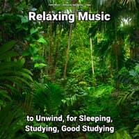 Relaxing Music to Unwind, for Sleeping, Studying, Good Studying