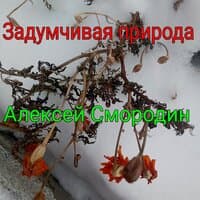 Задумчивая природа