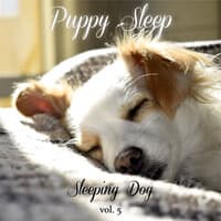 Sleeping Dog Volume 5