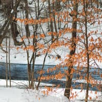 Nature Sounds: Distant River Essence