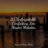 35 Unforgettable Comforting Zen Master Melodies