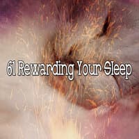 61 Rewarding Your Sleep