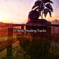 57 Reiki Healing Tracks