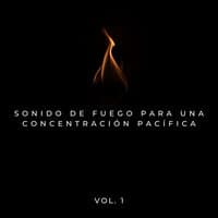 Sonido De Fuego Para Una Concentración Pacífica Vol. 1