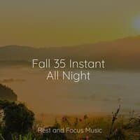 Fall 35 Instant All Night