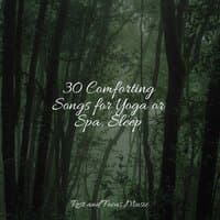 30 Comforting Songs for Yoga or Spa, Sleep