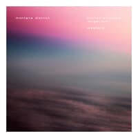 Blurred Altitudes  / Westerly