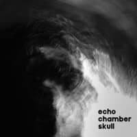 Echo Chamber Skull