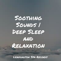 Soothing Sounds | Deep Sleep and Relaxation