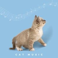 Calming Music For Cats