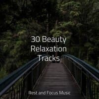 30 Beauty Relaxation Tracks