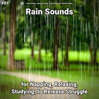 Rain Sounds to Help You Sleep All Night