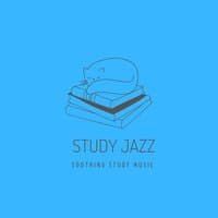 Soothing Study Music