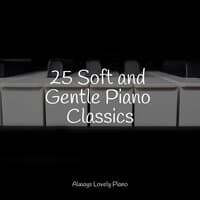 25 Soft and Gentle Piano Classics