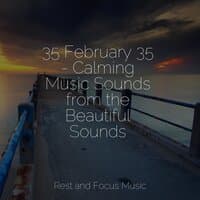 35 February 35 - Calming Music Sounds from the Beautiful Sounds