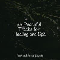 35 Meditation Alpha Beats