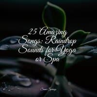 25 Amazing Songs: Raindrop Sounds for Yoga or Spa